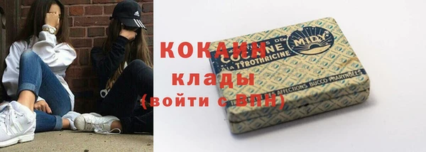 стаф Инта