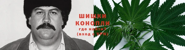 стаф Инта