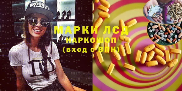 стаф Инта