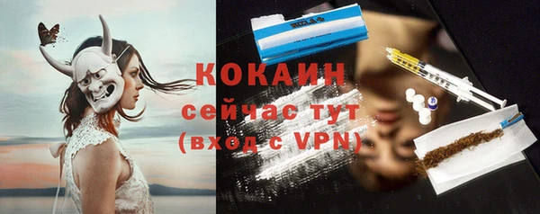стаф Инта