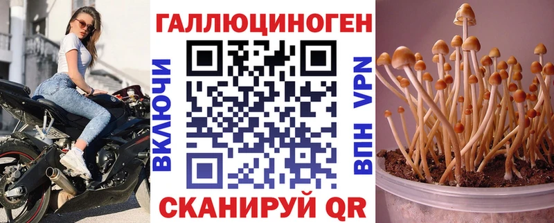 Галлюциногенные грибы прущие грибы  Купить закладки  Тында 